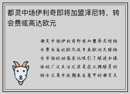 都灵中场伊利奇即将加盟泽尼特，转会费或高达欧元